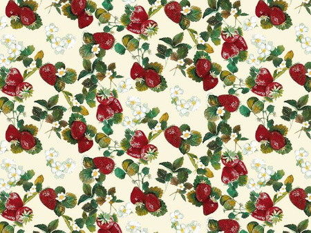 CERATA 140 FLORISTA 01728-02