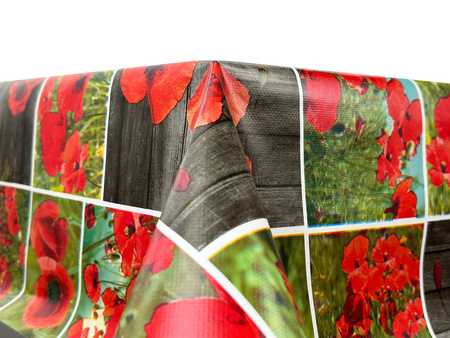 Tablecloth 140 CLASSICO / WF-4606B