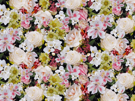 CERATA 140 FLORISTA 01753-00