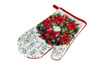 Kitchen gloves with a magnet HOLIDAY F23S214-B 2 pcs.