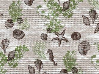 Foamed non-slip bath mat 65 AQUAMAT 4092-3