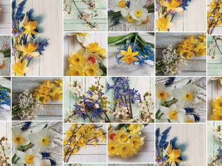 CERATA 140 FLORISTA 01657-03