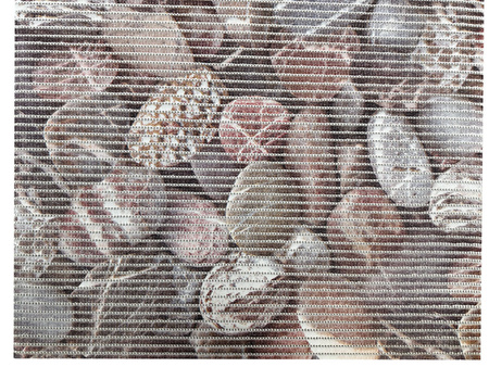 Foamed non-slip bath mat 65 AQUANOVA 599/A