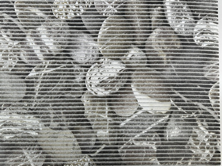 Foamed non-slip bath mat 65 AQUANOVA 599/B