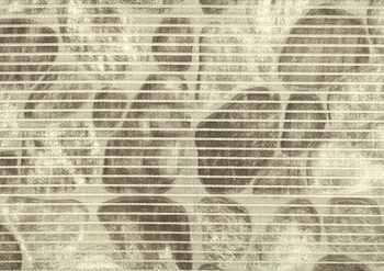 Foamed non-slip bath mat 65 V23004A