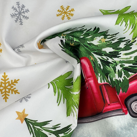 Cushion cover HOLIDAY 40X40 F24S219